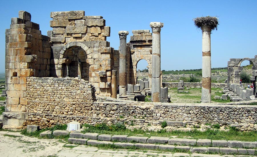Ruins Of The Volubilis Picture