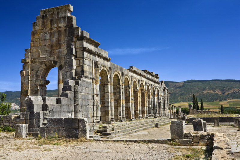 Ruins Of Volubilis View