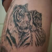 Tiger and Tigress Tattoo