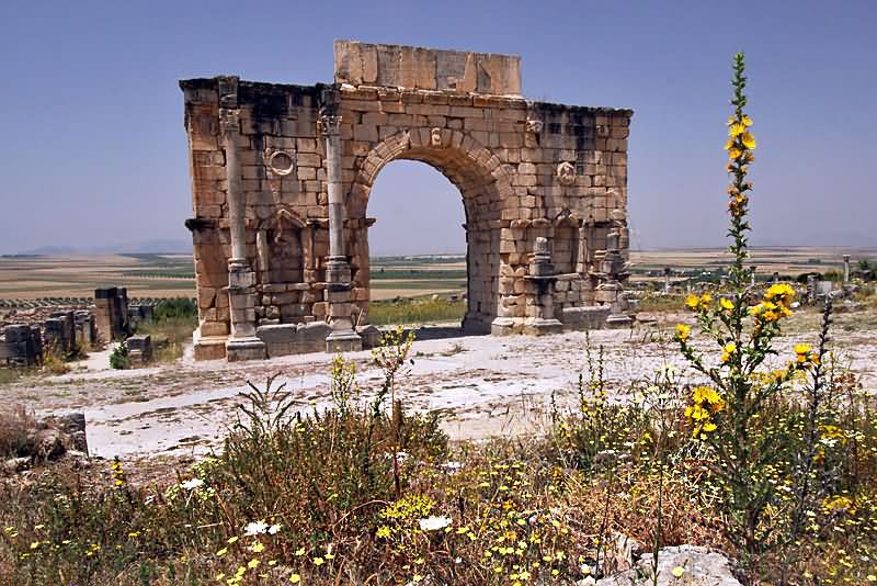 View Of Arch At The Volubilis