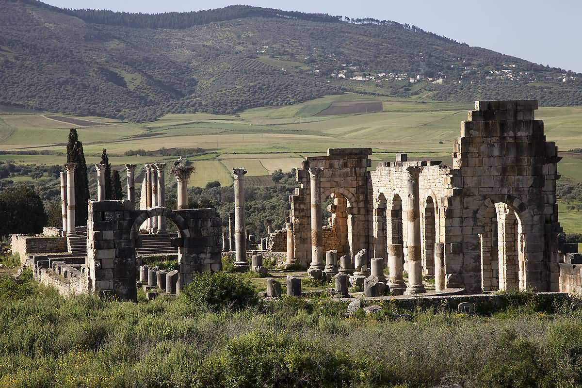 View Of Volubilis In Morocco