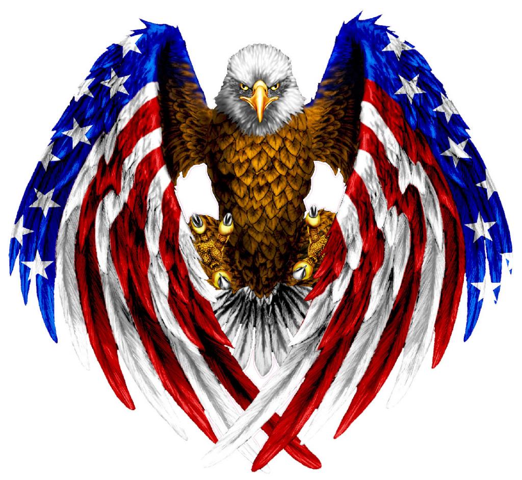 Amazing Bald Eagle With American Flag Colored Wings Tattoo Design