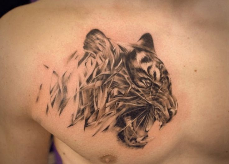 Amazing Grey Ink Realistic Roaring Tiger Tattoo on Chest