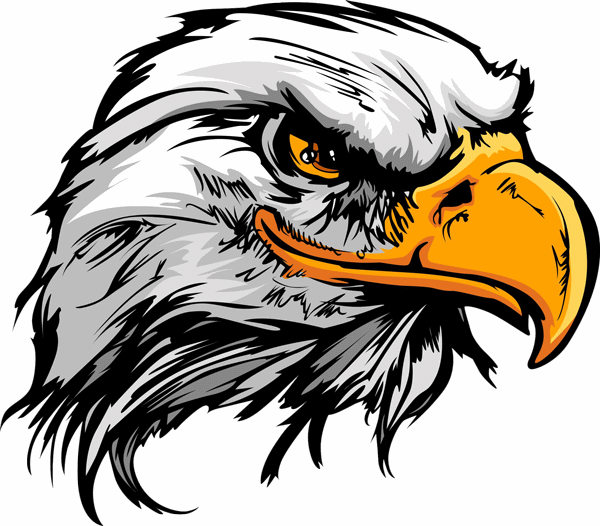 Amazing Yellow Beak Eagle Head Tattoo Design