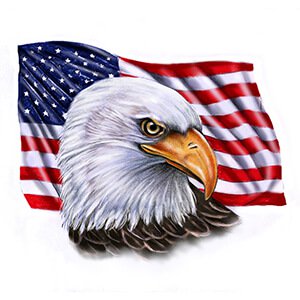American Eagle & Bald Eagle Head Tattoo Design
