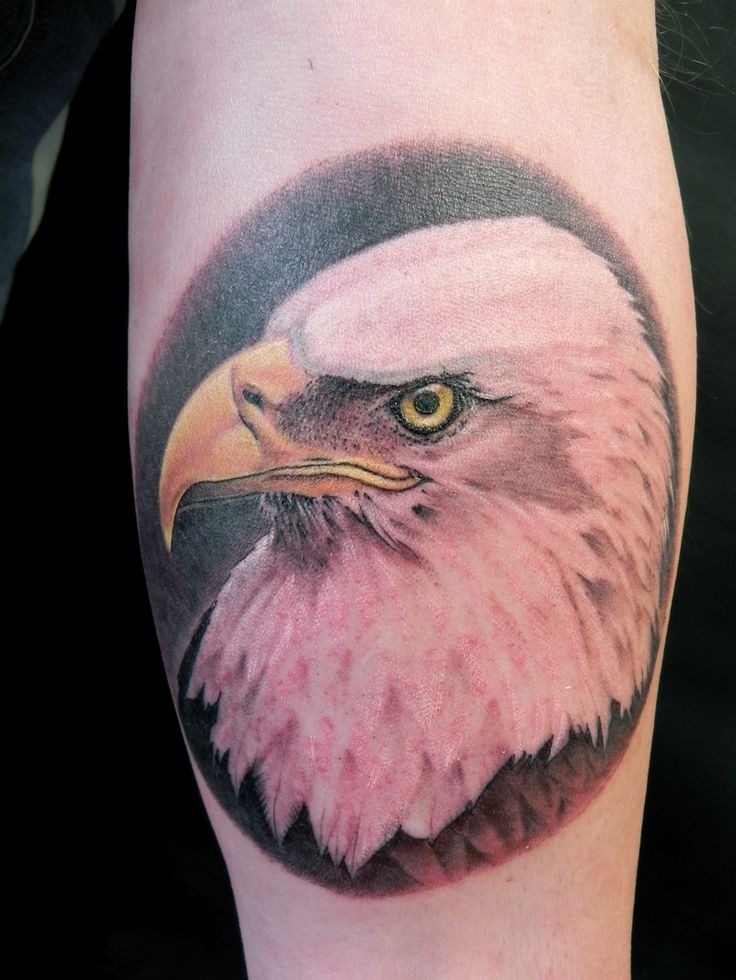 Beautiful Realistic Bald Eagle Head Tattoo On Forearm