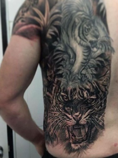 Black Ink Roaring Tiger Tattoo On Side Back & Shoulder