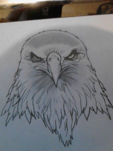 Black Outline Bald Eagle Tattoo Design With Pencil