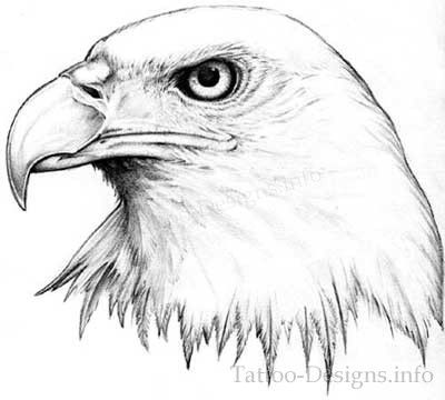 Black & White American Bald Eagle Tattoo Design