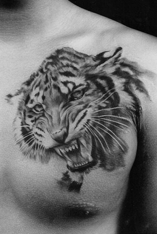 Black & White Roaring Tiger Tattoo On Chest For Men