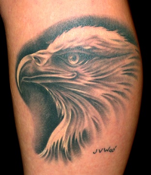 Black & White Eagle Head Portrait Tattoo On Forearm