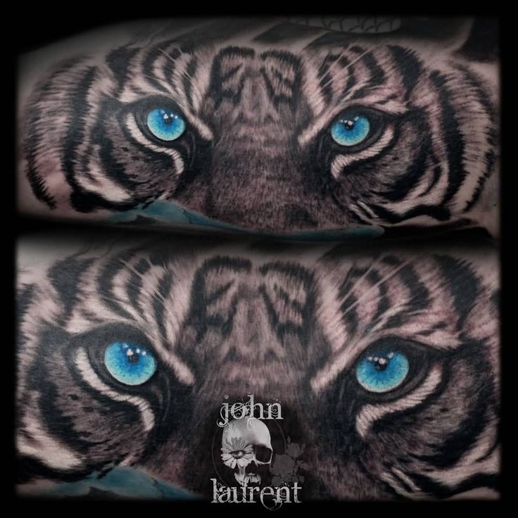 Blue Tiger Eyes Tattoo On Forearm by John Laurent