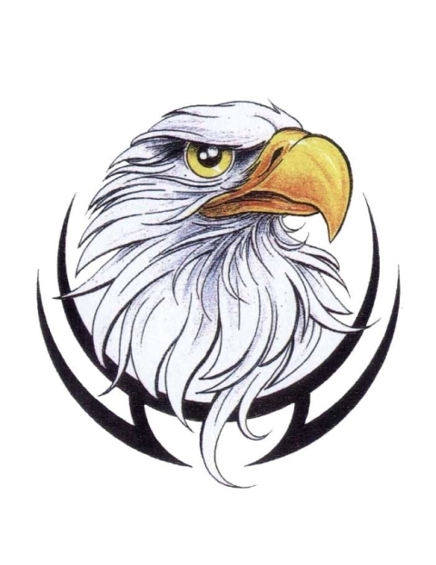 Colored American Bald Eagle In Tribal Frame Tattoo Design