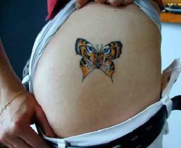 Colored Butterfly Tiger Tattoo On Side Belly