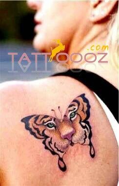 Colored Tiger Butterfly Tattoo On Back Shoulder For Men