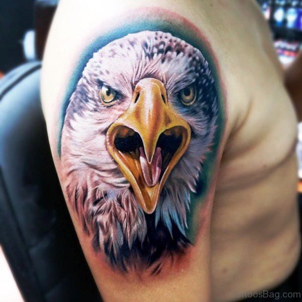 Colorful Eagle Head Tattoo On Shoulder