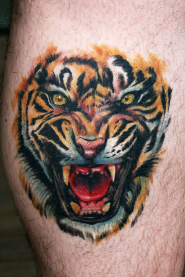 Colorful Roaring Tiger Tattoo On Leg