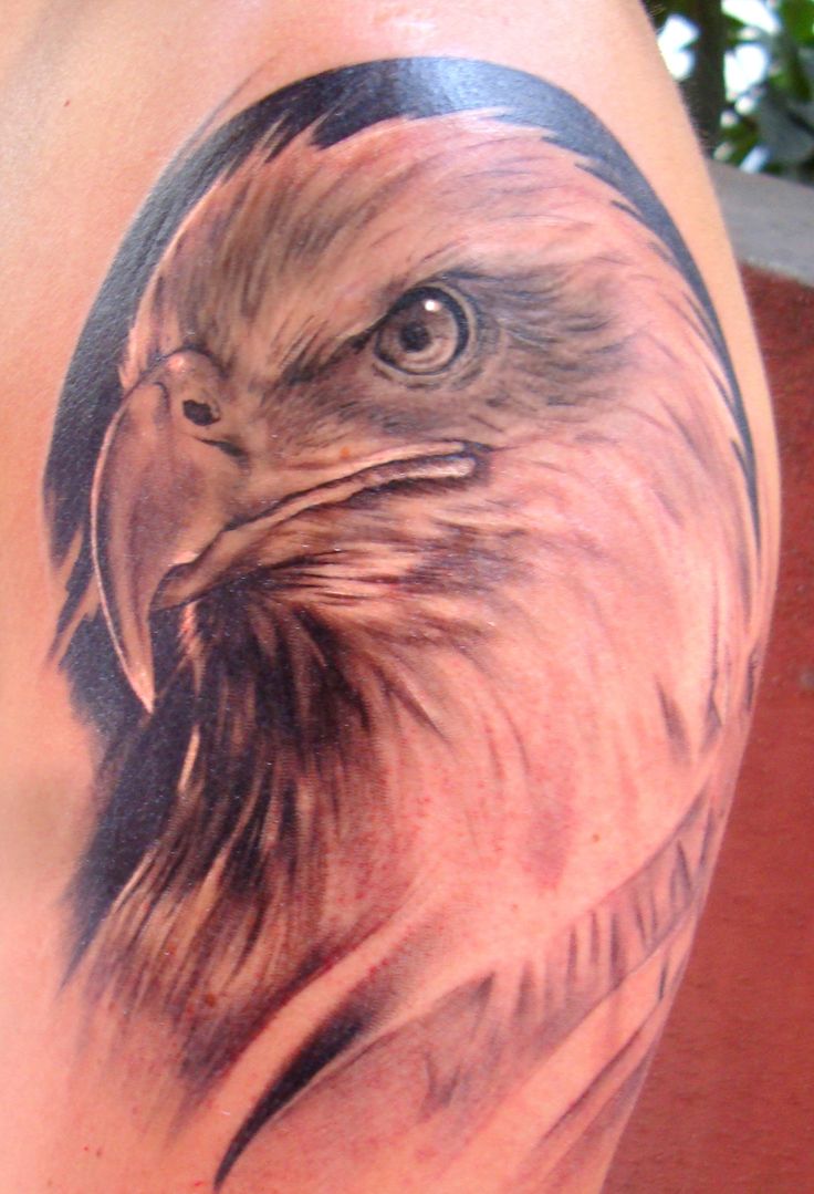 Cool Grey & White Ink Eagle Head Tattoo On Shoulder