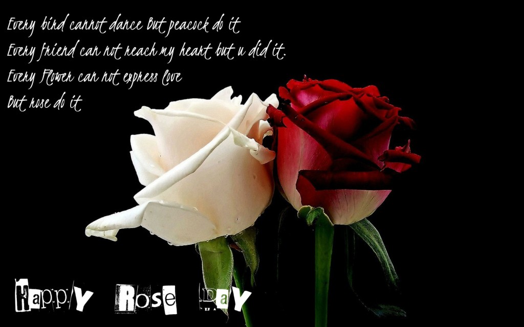 Every Flower Can Not Express Love But Rose Do It Happy Rose Day