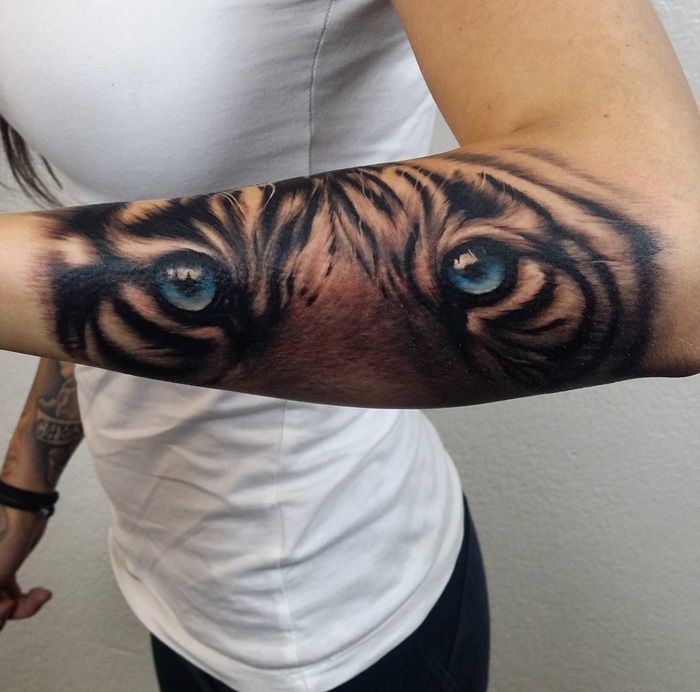 Fantastic Tiger Blue Eyes Tattoo On Forearm
