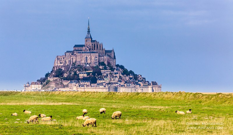Far view of Mont Saint-Michel with sheep
