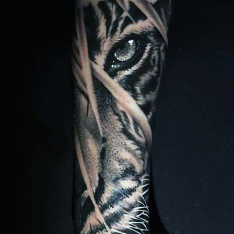 Grey Ink Realistic Tiger Eye Tattoo On Arm