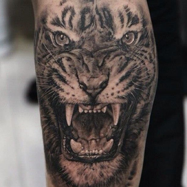Grey Ink Roaring Tiger Portrait Tattoo On Forearm