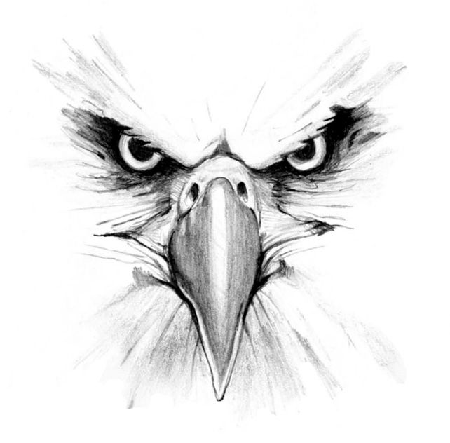 Grey & White Eagle Eyes Tattoo Design