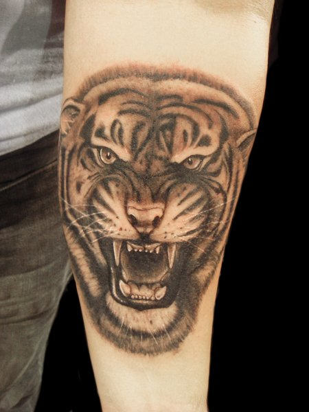 Grey ink Roaring Tiger Tattoo On Forearm