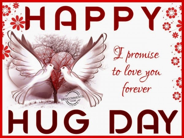 Happy Hug Day i promise to love you forever