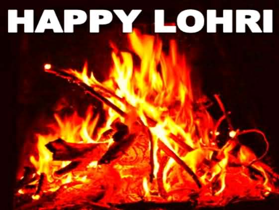 Happy Lohri Bonfire (2)