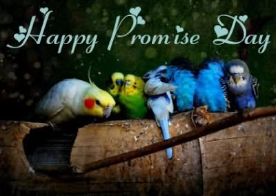 Happy Promise Day Parrots Graphic image