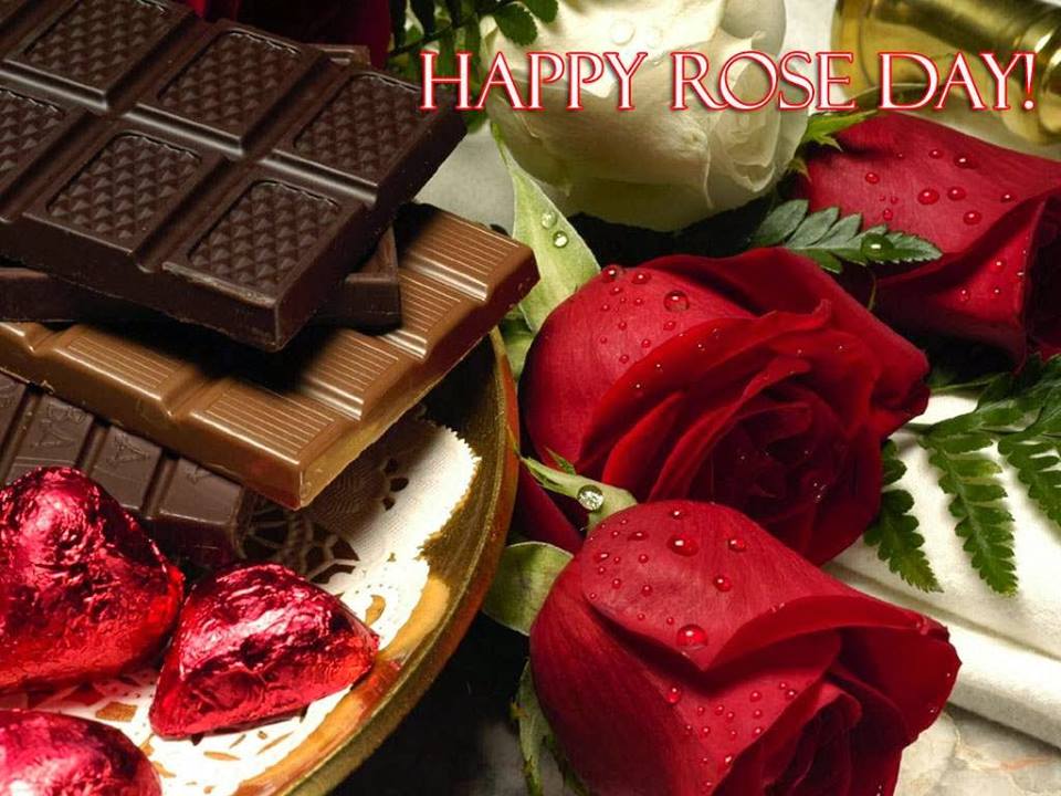 107 Most Beautiful Rose Day Greeting Picture Ideas
