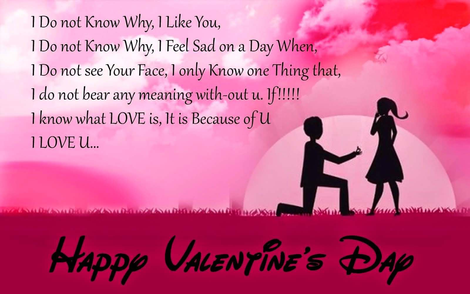 Happy Valentine’s Day I love you