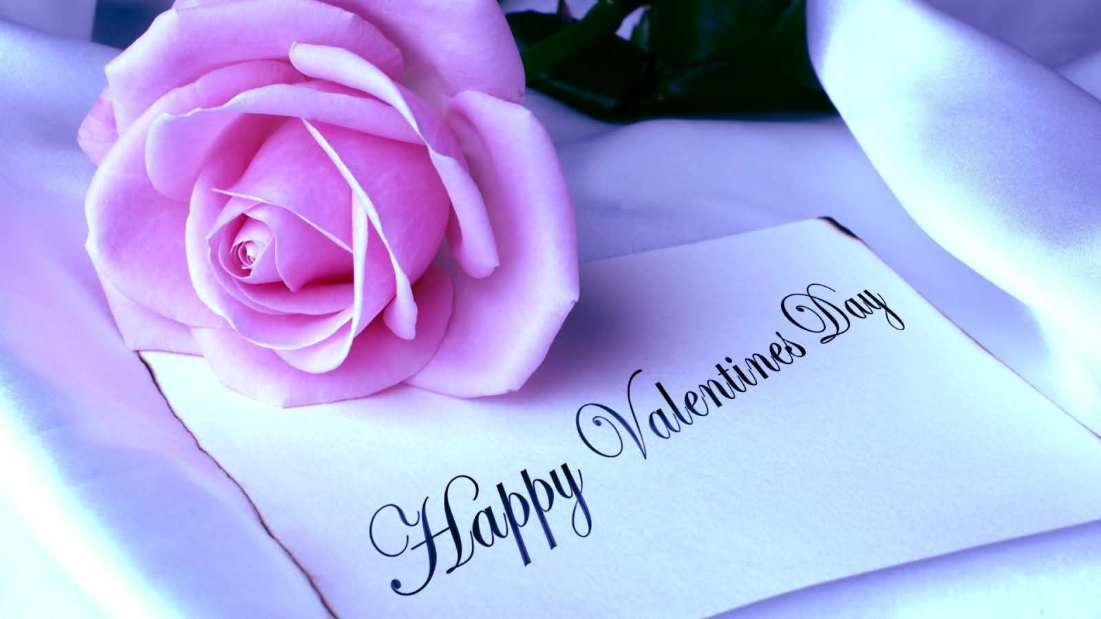 Happy Valentine’s Day card with pink rose flower