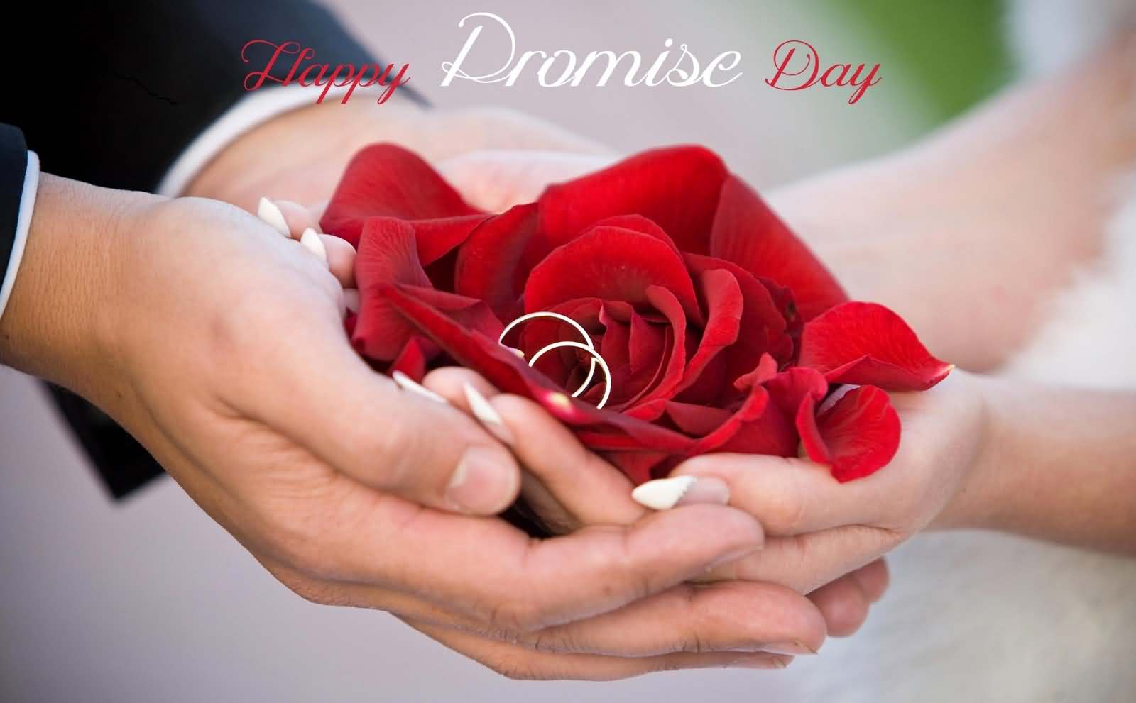 Happy promise day rose flower and wedding rings in hand