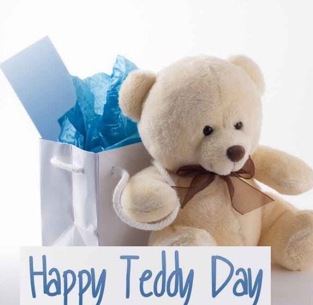 Happy teddy Day teddy bear gift box