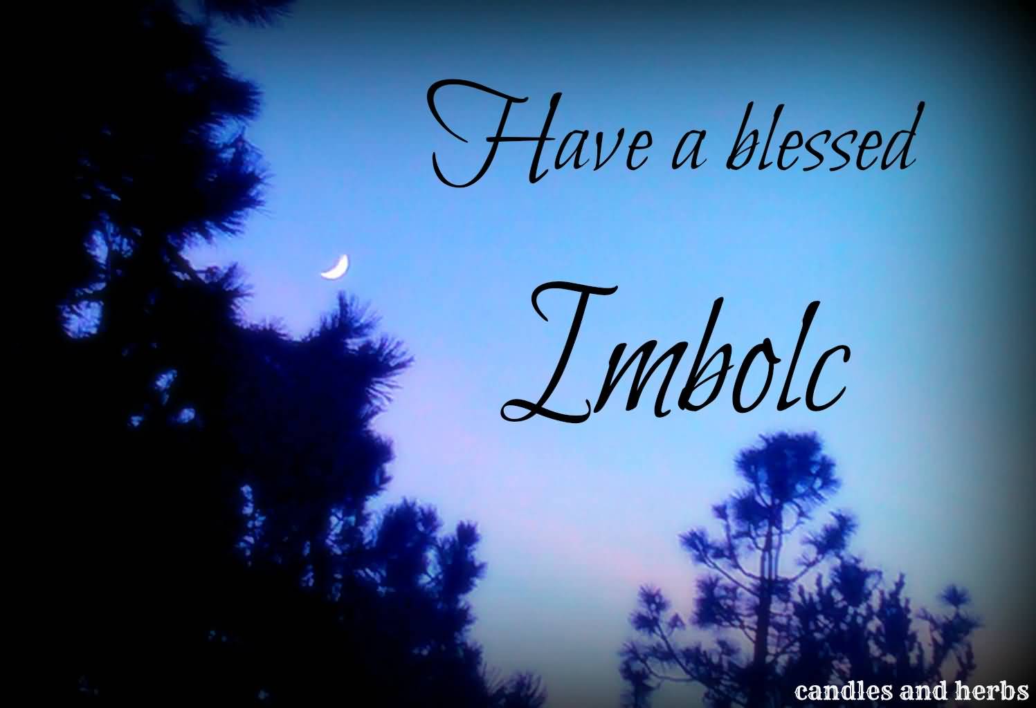 Have a blessed Imbolc