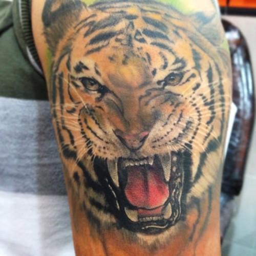 Realistic Roaring Tiger Tattoo On Arm