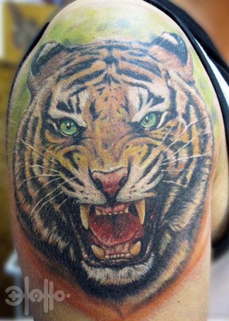 Realistic Roaring Tiger Tattoo On Shoulder
