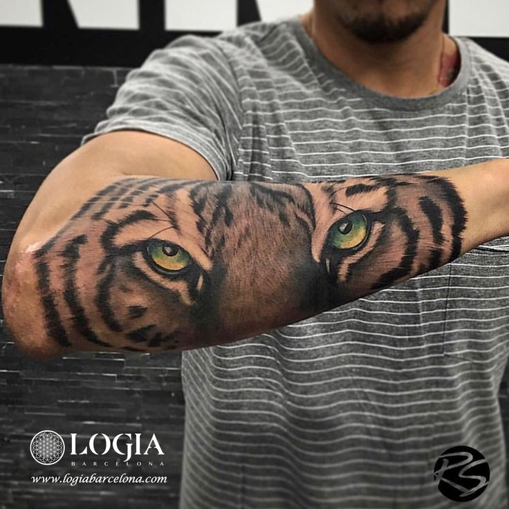 Realistic Tiger Eyes Tattoo On Forearm By RIDNEL SILVA at Logia Barcelona