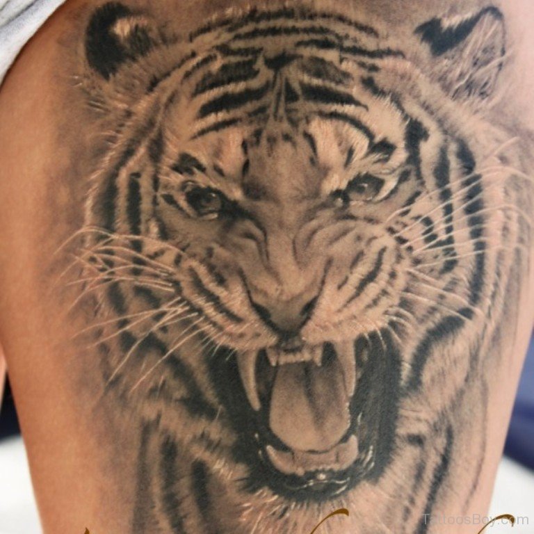 Roaring Tiger Tattoo Design On Shoulder For Men