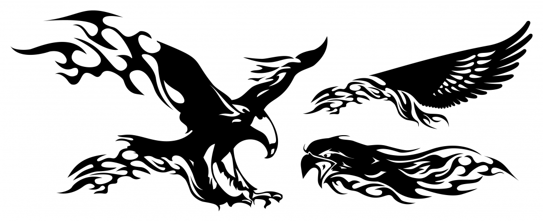 Three Wonderful Tribal Eagle Tattoo Designs