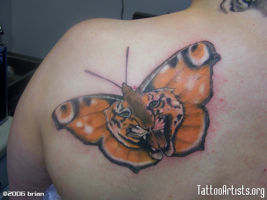Tiger Butterfly Tattoo On Back Shoulder