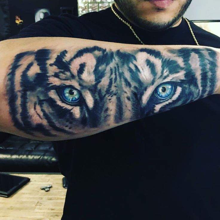 Tiger Eyes Tattoo Idea For Men Forearm