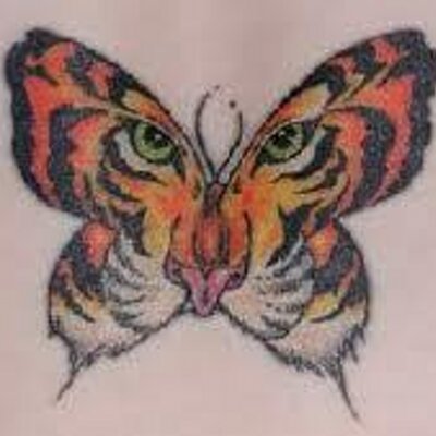 Tiger Face In Butterfly Wings Tattoo Design