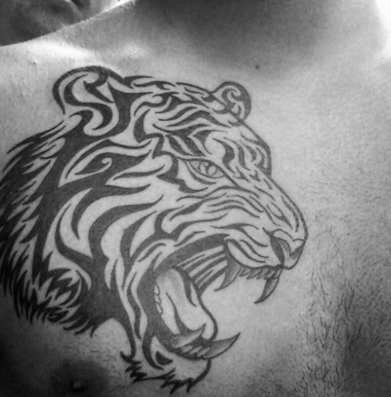Tribal Roaring Tiger Tattoo On Man Chest
