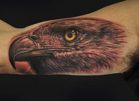 Wonderful Black & Grey Eagle Head Tattoo On Bicep