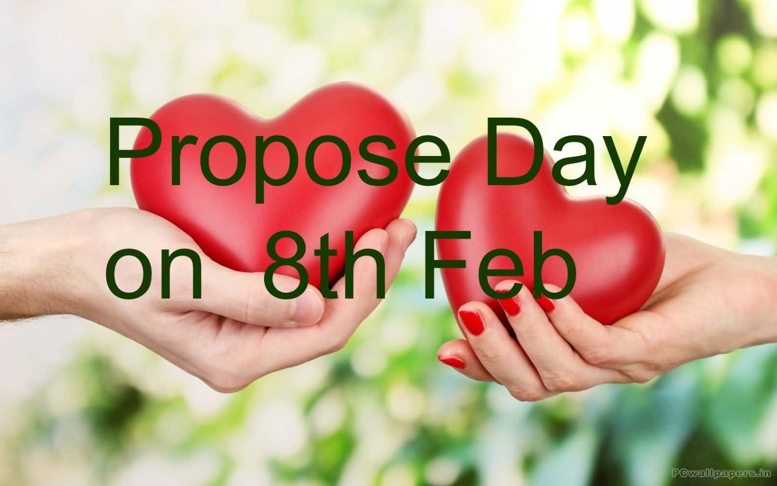 propose day on 8th february