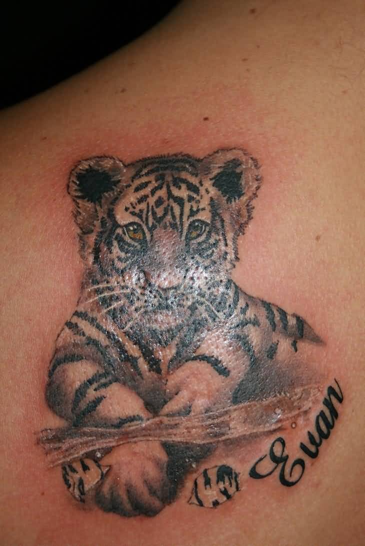 Amazing Black & Gray Ink Realistic Baby Tiger Tattoo On Back Shoulder
